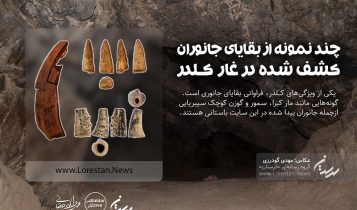  یکی از ویژگی های کلدر، غنای بقایای جانوری است. این بقایا با حجم بسیار بالایی در نهشته‌های باستانی این سایت دفن شده‌اند.